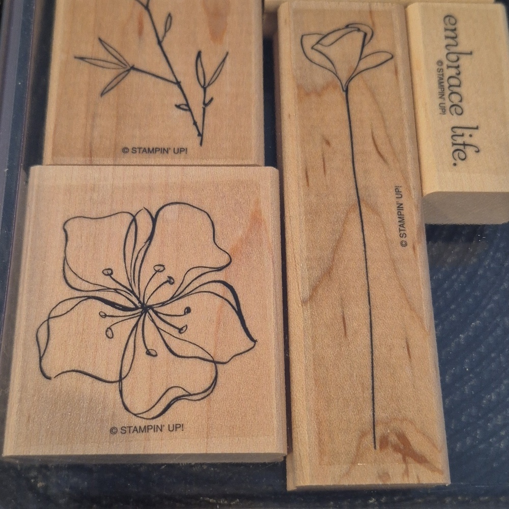STAMPIN' UP! Retired 2008 'Embrace Life' Stamp Set, Set of 5 Stamps - Picture 3 of 8